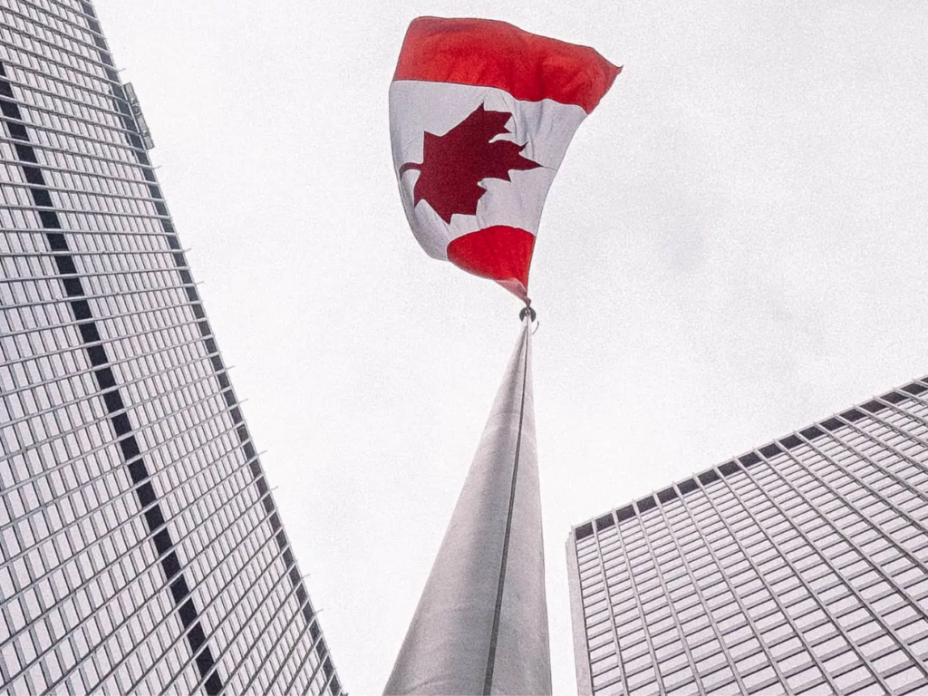 Profit and Policy: Starting with the Right Structure