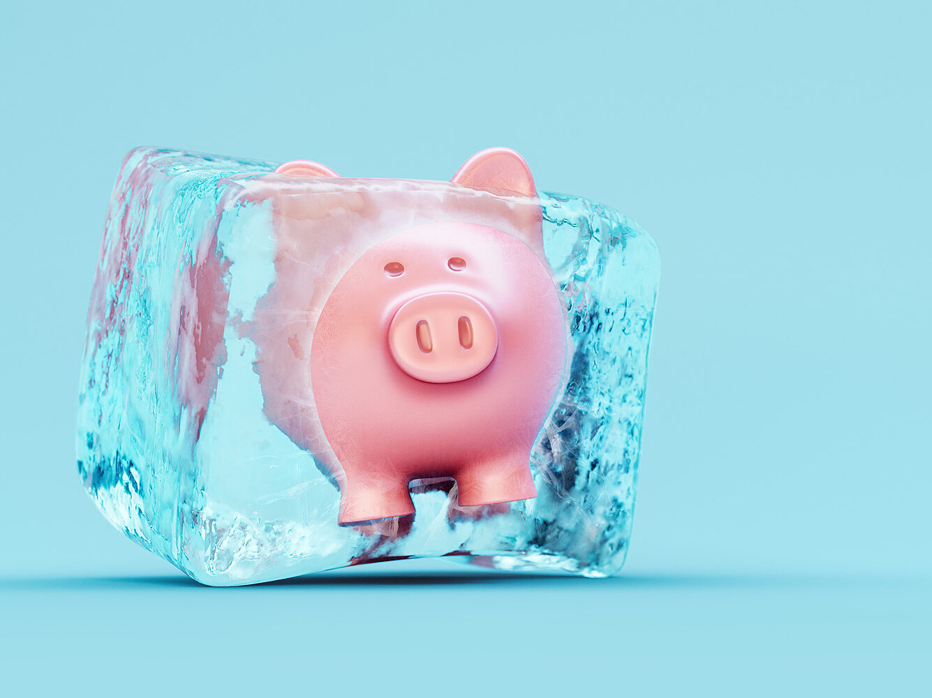 Mortality and Tax: Freezing Time and Growth