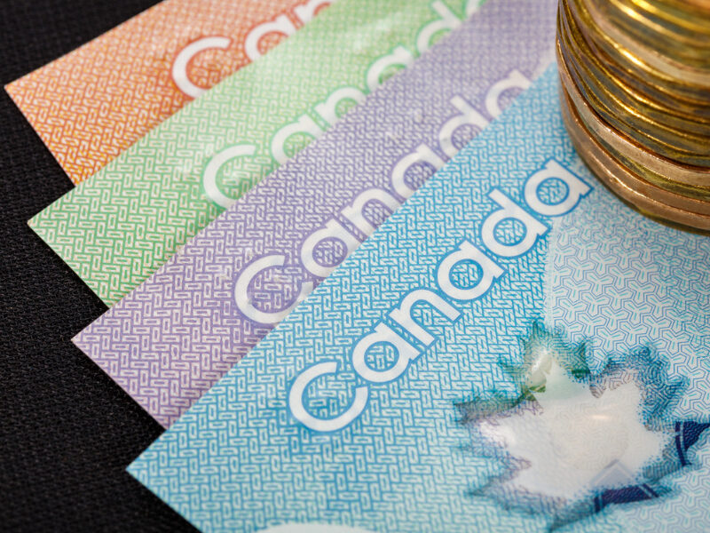 Profit and Policy: To Salary or Not to Salary?